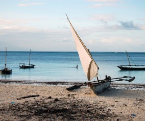 Dhows in Zanzibar