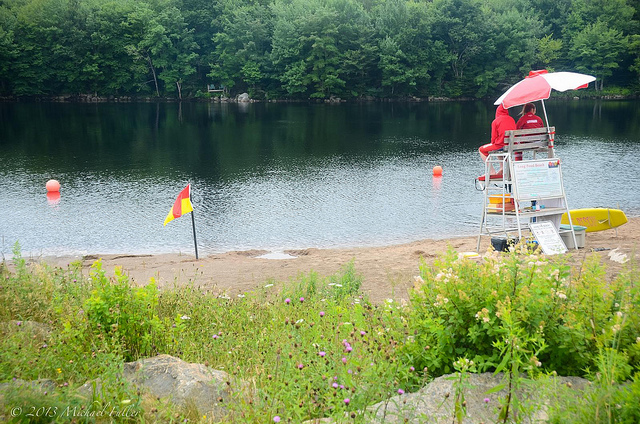 A busy day at the beach outside Halifax