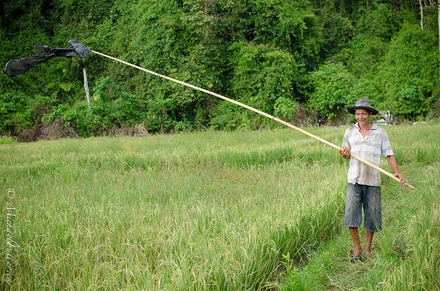 The first time I've ever met a real-life scarecrow