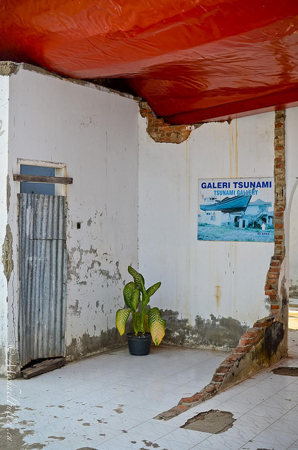 This house has a one-of-a-kind roof. The wall-hanging is a hint. Click for a closer look.