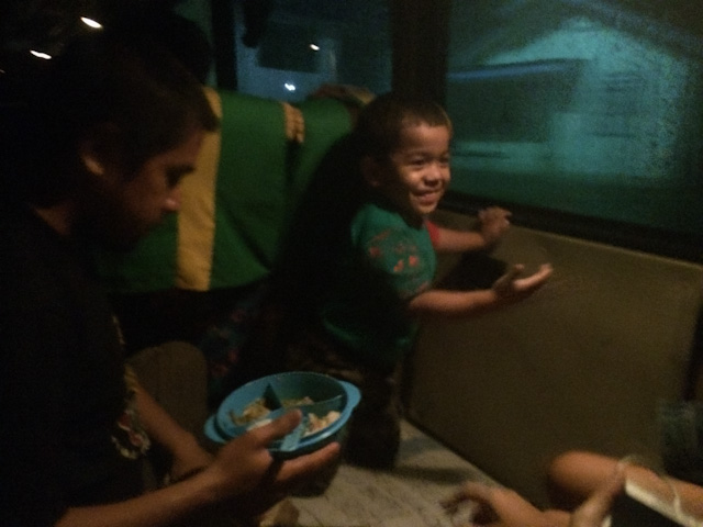 child on bus shows us it's beginning to rain inside