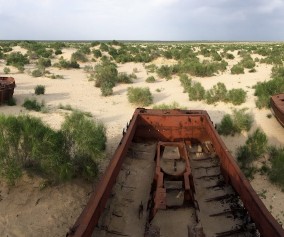 Aral Sea fishing boats, dragged here to die together.
