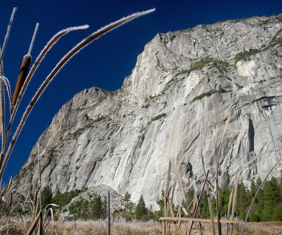 Frosted Yosemite