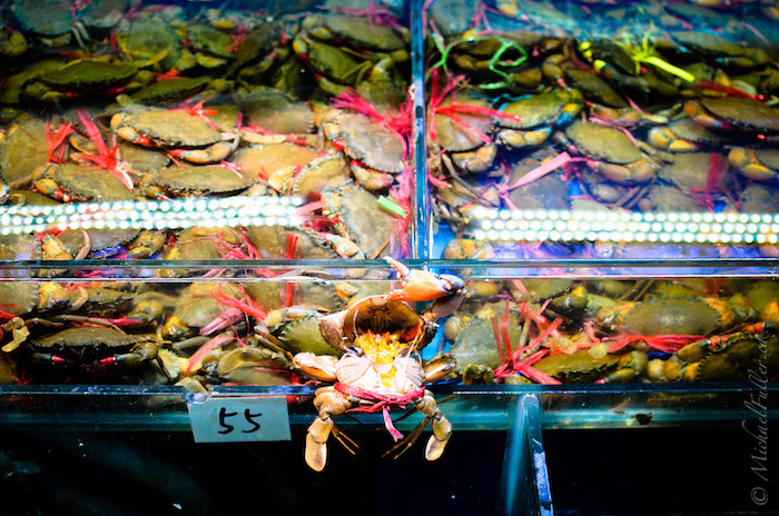 They cartoonishly arranged this crab to appear to be lifting open its own lid. 